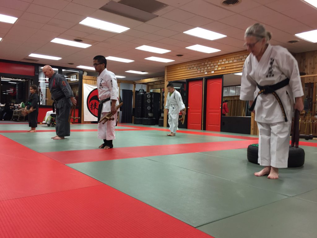 Media – Sei Shin Kan Karate